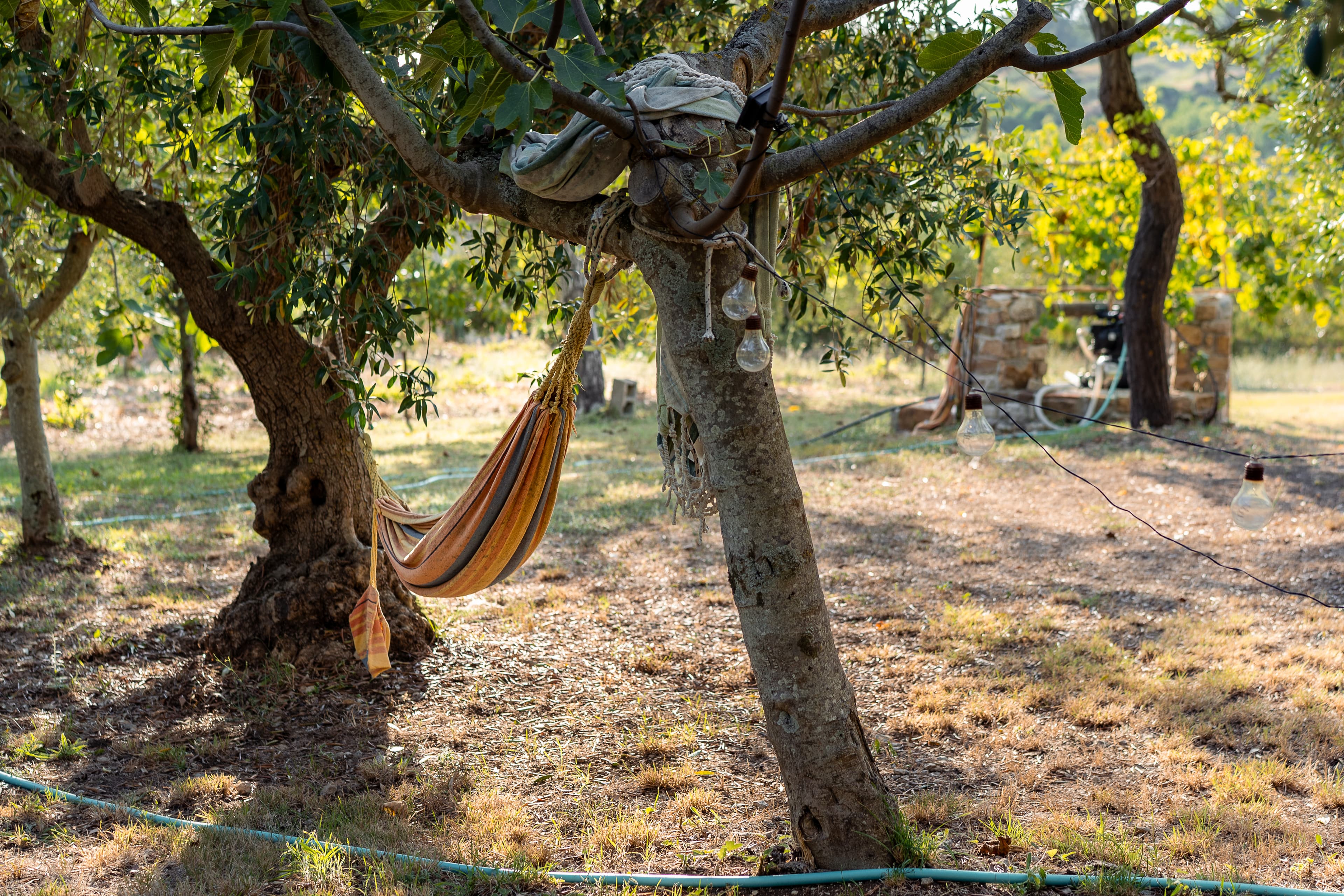 Amaca nel giardino — Zona relax all’ombra degli alberi con amaca e luci decorative